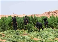 حدائق الشيطان بأسيوط 