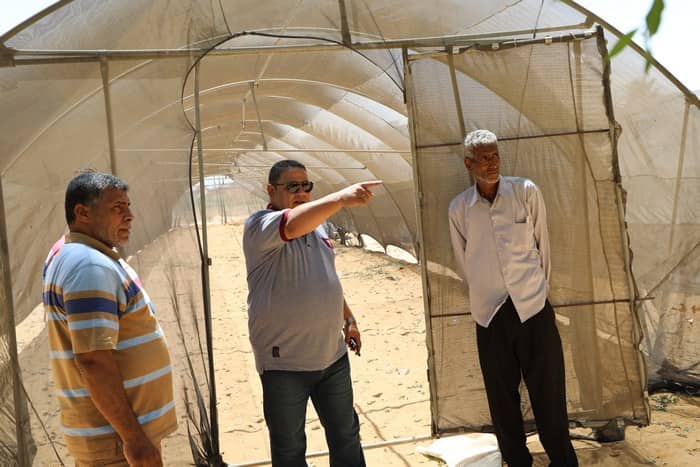 الدكتور إبراهيم التداوي 