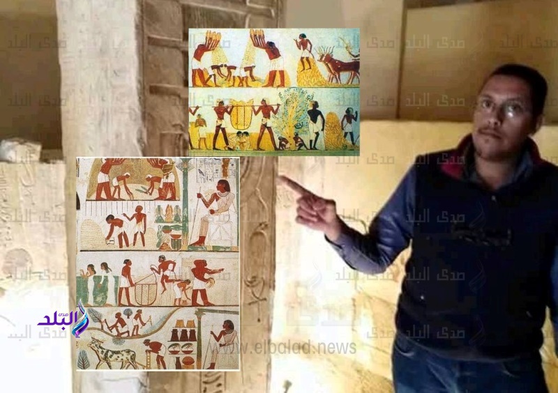 الفلاح الفرعوني أخلص لأرضه الفلاح الفرعوني أخلص لأرضه