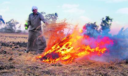 حرق قش الأرز