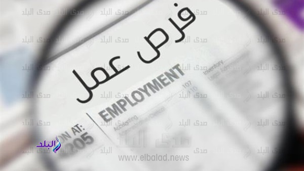 وظائف جديدة بوزارة التعليم العالي  وظائف جديدة بوزارة التعليم العالي