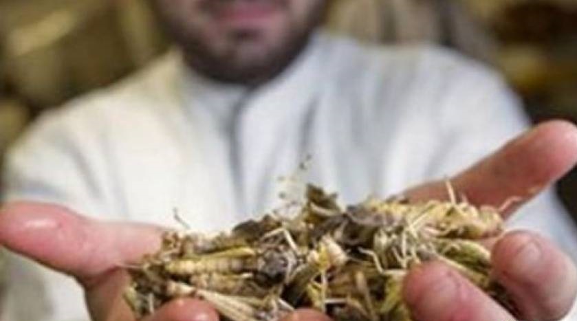 علي جمعة يبرز رحمة الله في أن كل ميت نجس إلا خمس