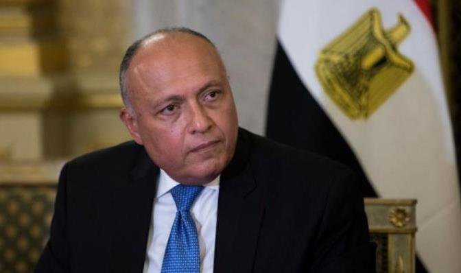سامح شكري وزير الخارجية المصري