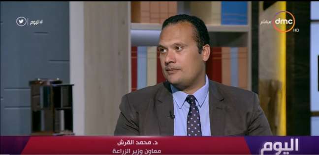 الدكتور محمد القرش 