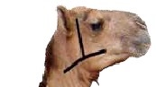 الوسم