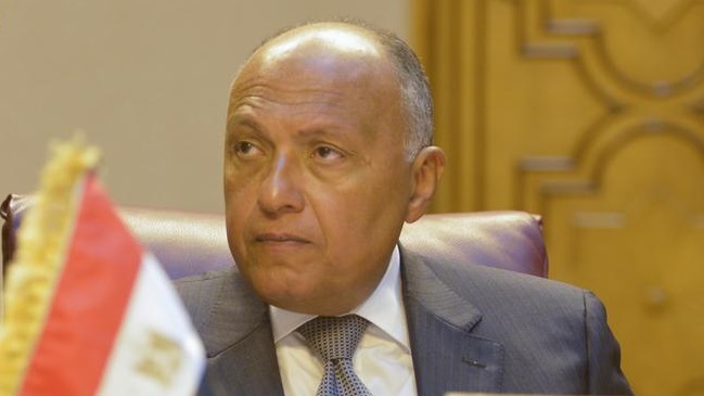 سامح شكري وزير الخارجية 