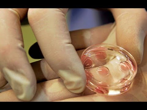 تجميد البويضات تجميد البويضات
