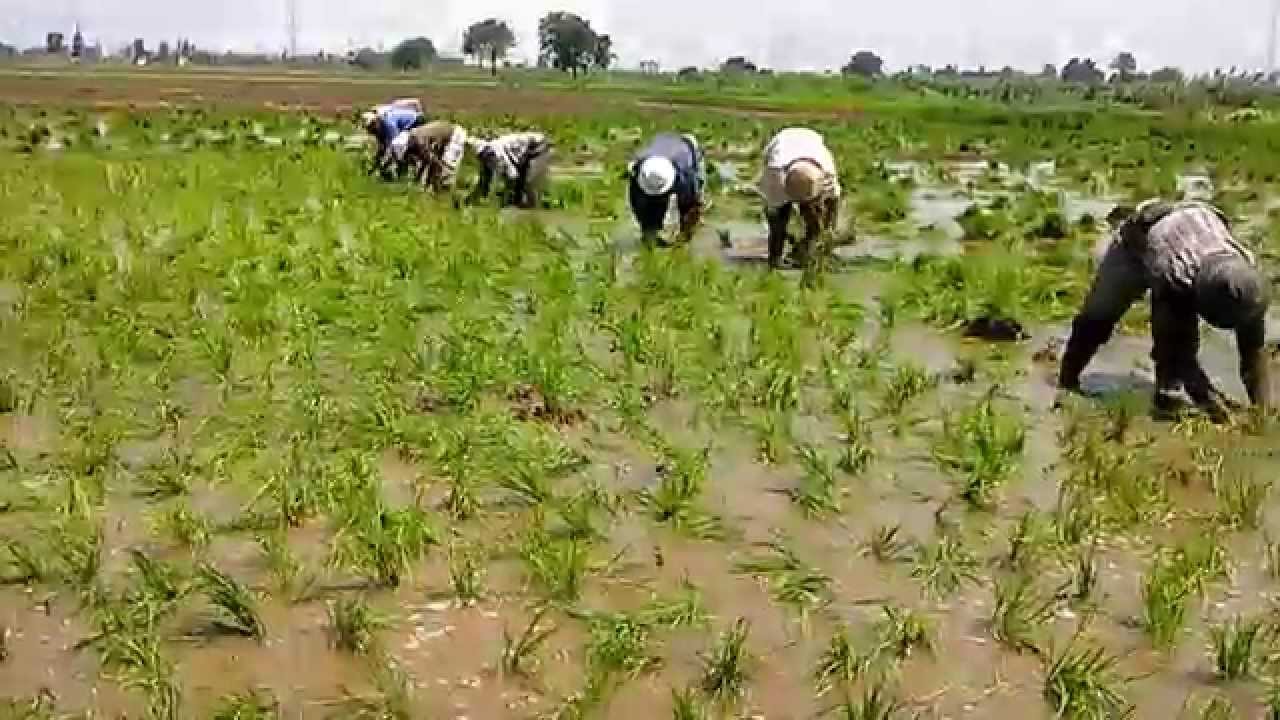 صورة تعبيرية صورة تعبيرية