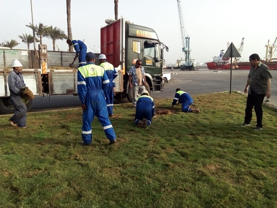 البعوض والقوارض تؤرق اهالي دمياط 