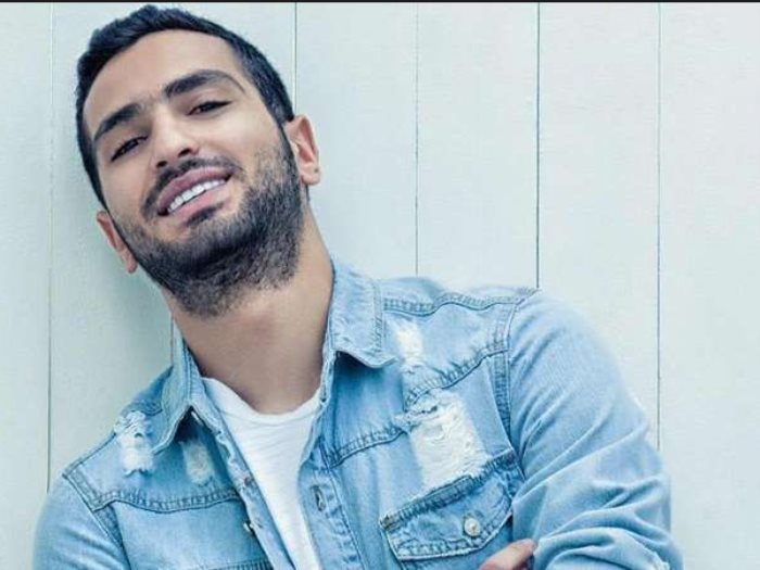 محمد الشرنوبي