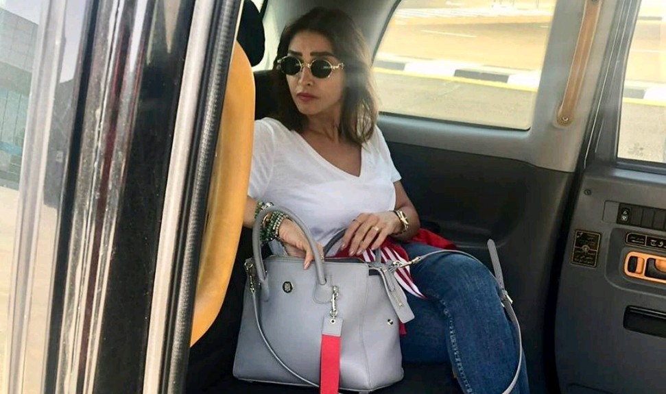 روجينا