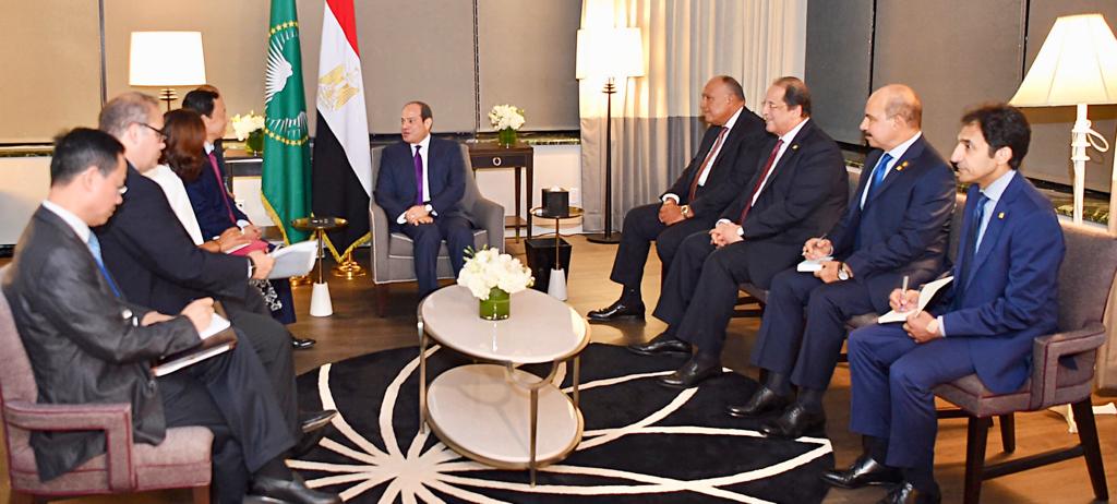 الرئيس السيسى خلال اللقاء