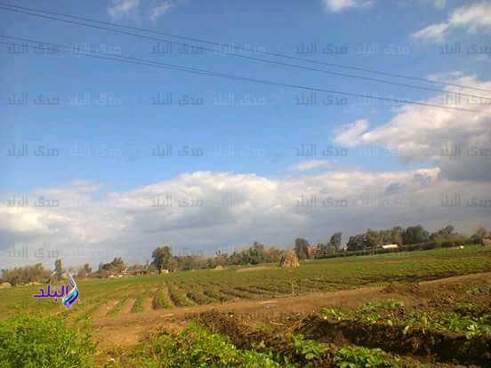  قرية نكلا العنب 