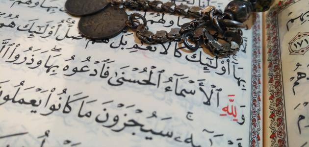 ل يرث الأحفاد من جدهم نصيب أمهم المتوفية قبل الجد