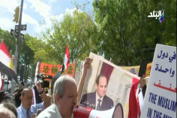 المصريون يدعمون الرئيس السيسي من أمريكا