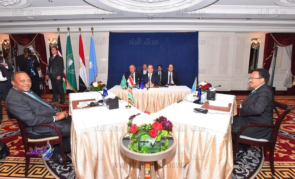 السيسي يطلع على الموضوعات الخلافية بين الصومال وكينيا