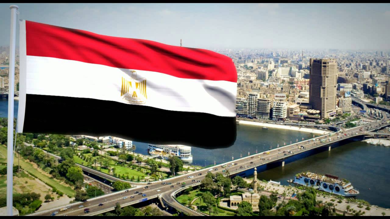 بالموشن جرافيك وترجمة الإشارة .. فيديو لدار الإفتاء عن الوطن