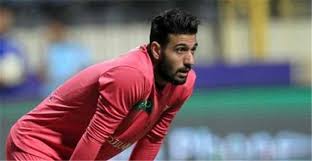 أحمد الشناوي