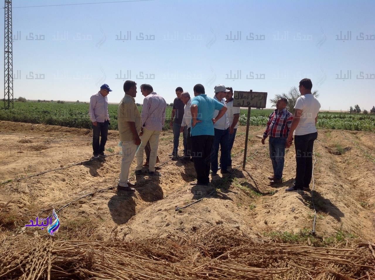 استرداد 87 فدانًا من أراضى الدولة في الفيوم