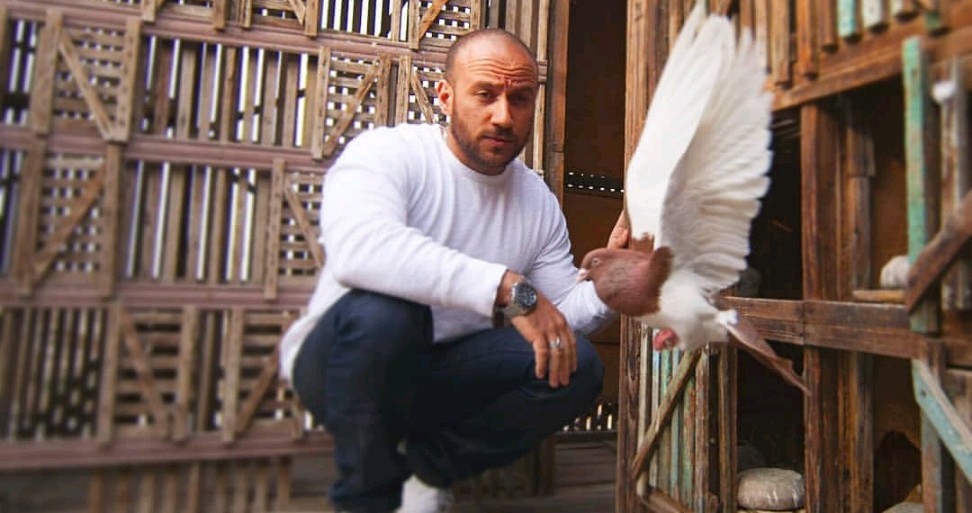 احمد مكى احمد مكى