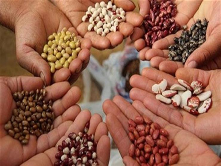 تقاوى زراعية 