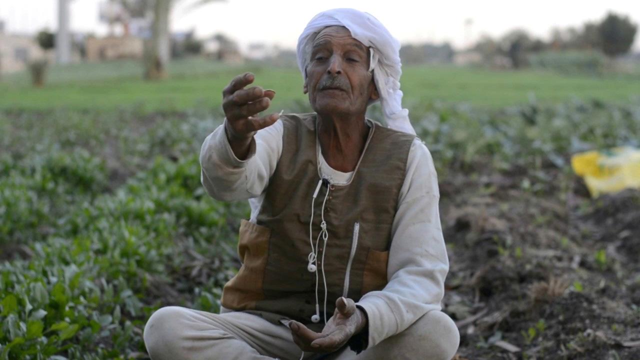 الفلاح المصرى الفلاح المصرى