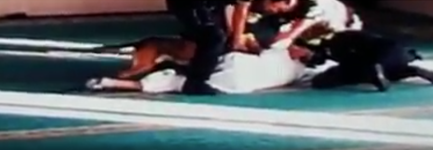 الجاليات المسلمة تدين اعتداء الشرطة الهولندية على مسجد دخلوه