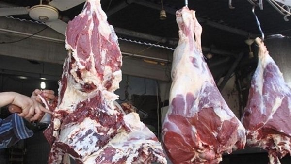 اللحوم اسعار اللحوم البلدى