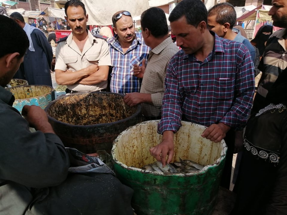 ضبط 4 طن أسماك مملحة فاسدة ضبط 4 طن أسماك مملحة فاسدة