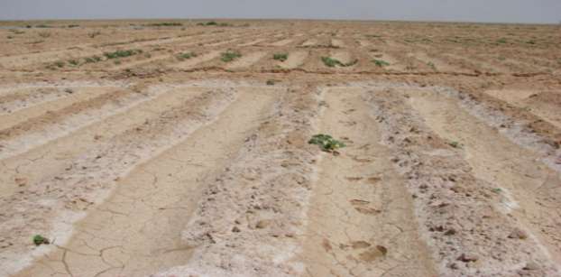 أراضى الدولة