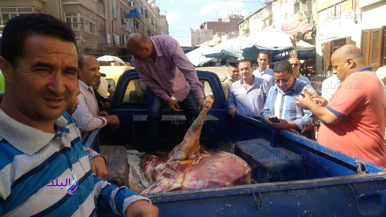 ضبط ربع طن لحوم فاسدة ومجهولة في البحيرة ضبط ربع طن لحوم فاسدة ومجهولة في البحيرة