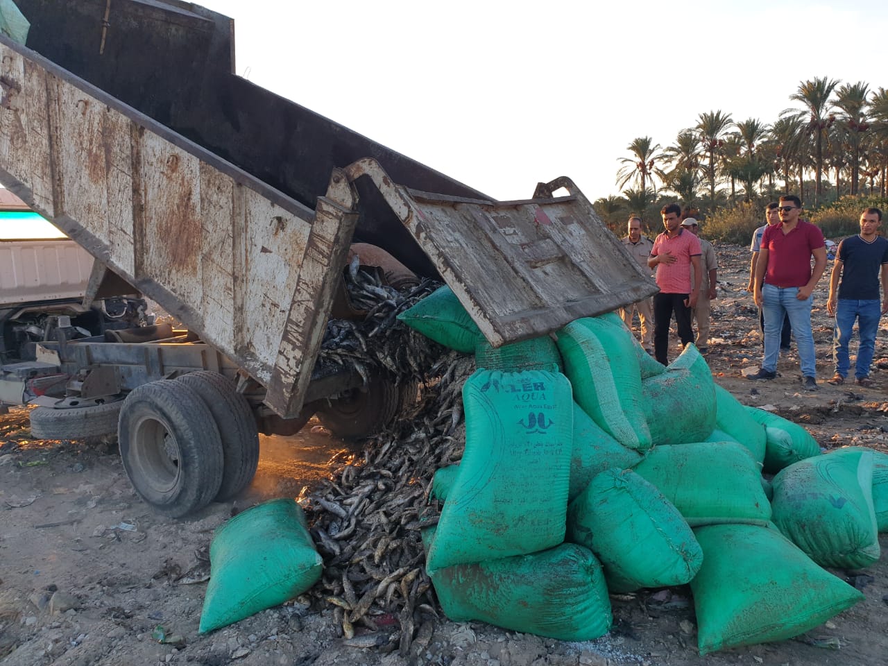 ضبط كميات ضخمة من الأسماك المملحة الفاسدة بالبحير