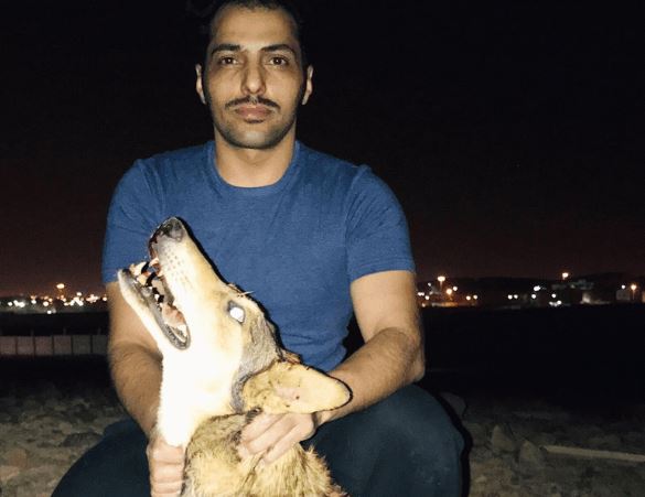 ذئب مفترس في المدينة المنورة