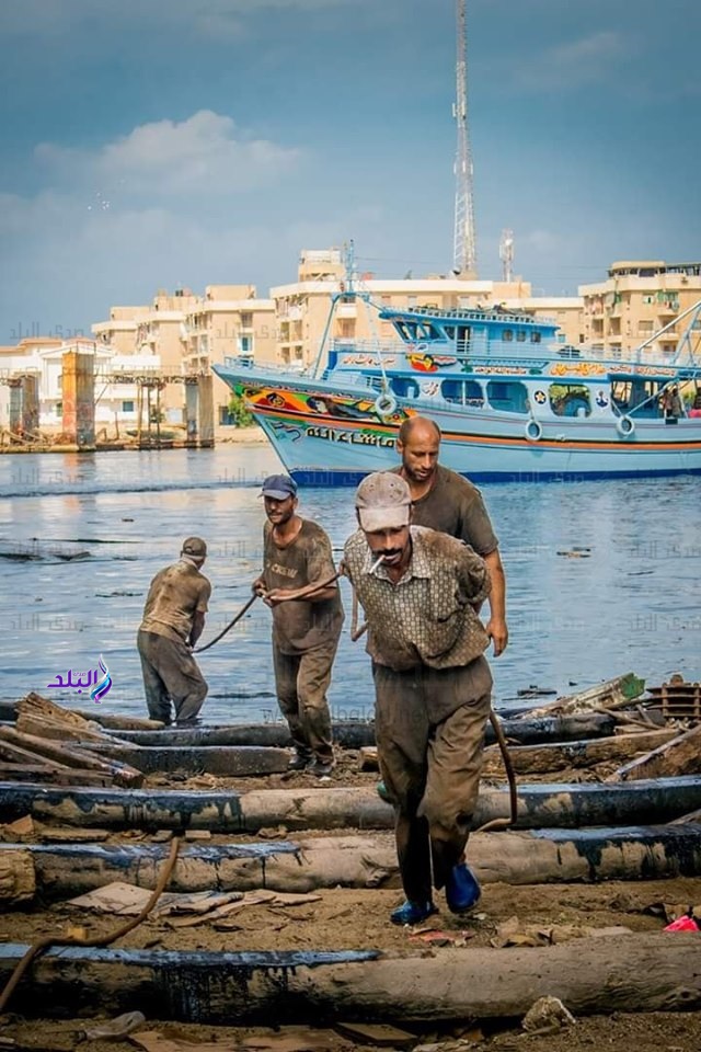 عزبة البرج 