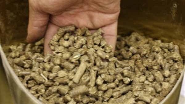 صورة أرشيفية - أعلاف 