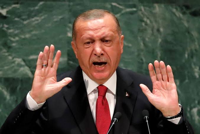 أردوغان يعلن إقامة منطقة آمنة داخل سوريا أردوغان يعلن إقامة منطقة آمنة داخل سوريا