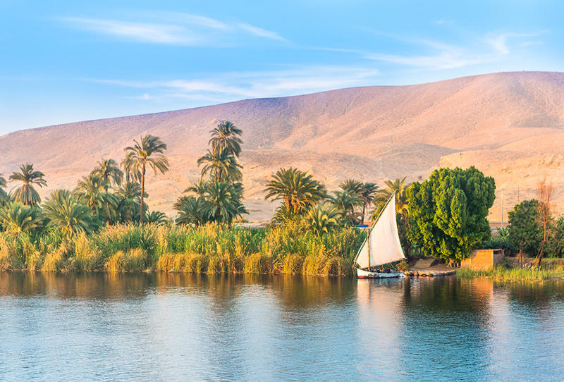 صورة تعبرية صورة تعبرية