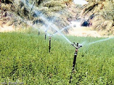 الري بالتنقيط - أرشفية الري بالتنقيط - أرشفية
