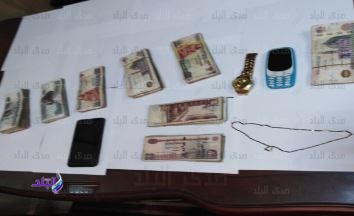 المضبوطات المضبوطات