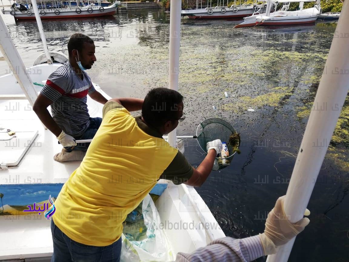 شباب أسوان ينظفون مياه مياه النيل من القمامة
