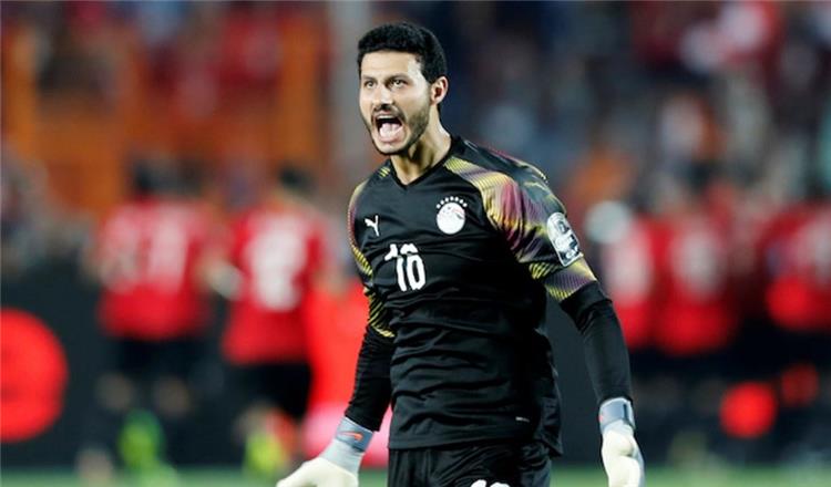 محمد الشناوي 