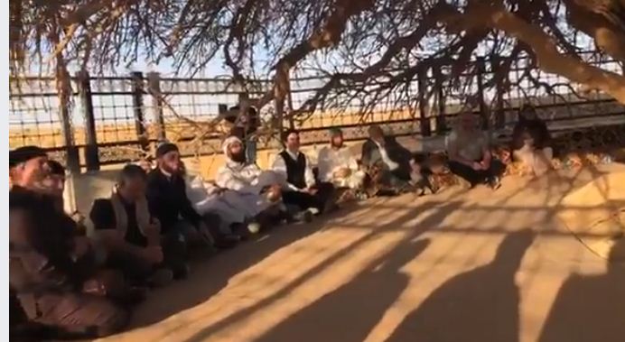 الشجرة المباركة بالأردن - علي جمعة