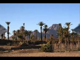 محافظة الوادى الجديد