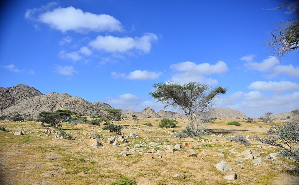 محمية جبل العلبة