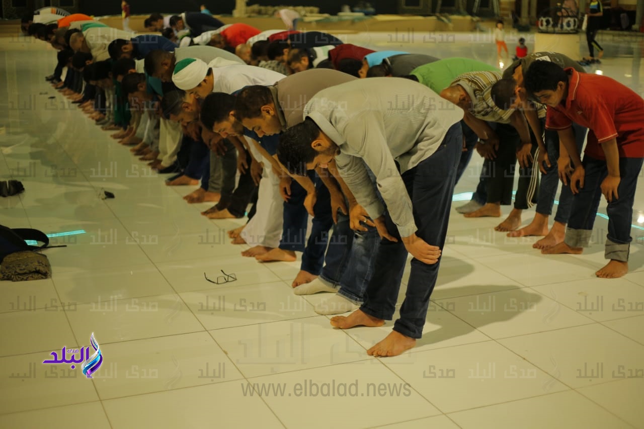 حكم إدراك الإمام في الركوع أثناء الصلاة.. لجنة الفتوى تجيب حكم إدراك الإمام في الركوع أثناء الصلاة.. لجنة الفتوى تجيب