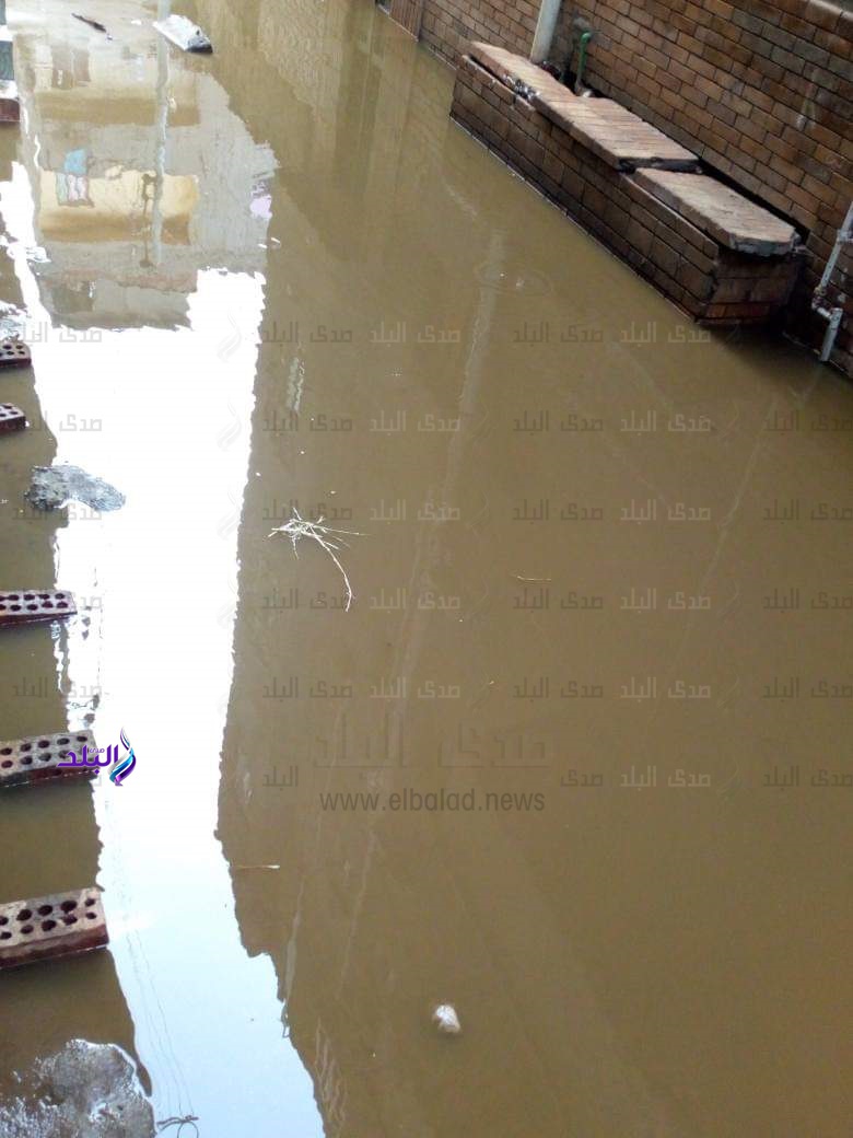 أمطار غزيرة في الدقهلية أمطار غزيرة في الدقهلية