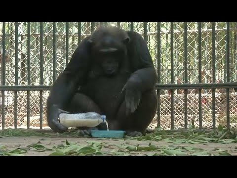 حديقة الحيوان