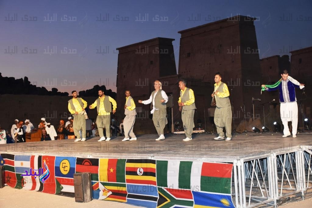 مهرجان الفنون والفلكلور الأفرو صيني مهرجان الفنون والفلكلور الأفرو صيني