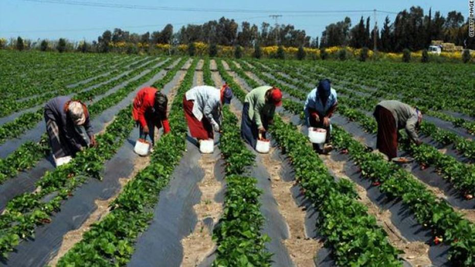 المزارع النموذجية في افريقيا