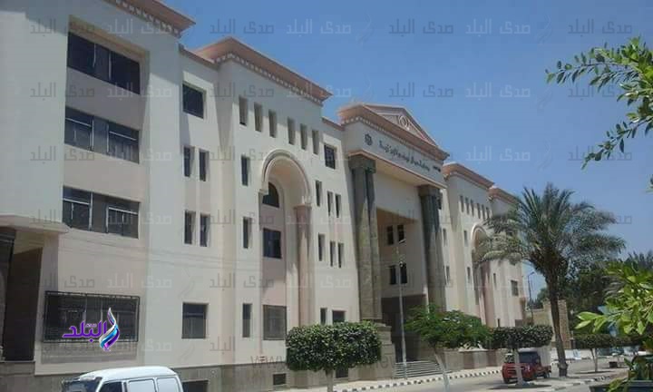 مدينة حوش عيسى